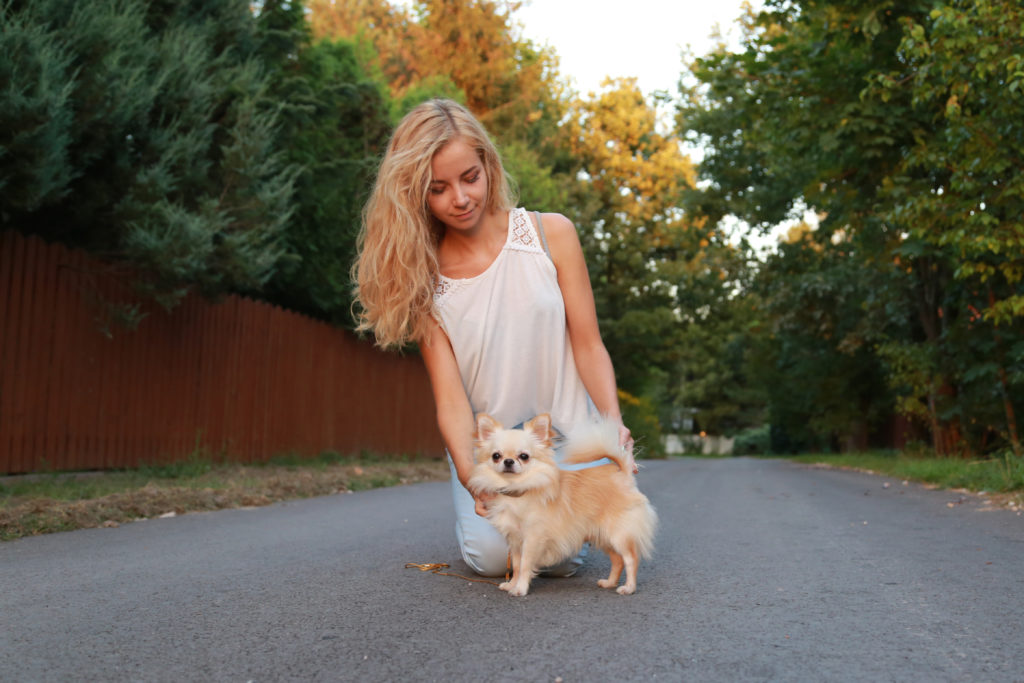 Dominika Piech z chihuahua – właścicielka hodowli Domi Ventura FCI